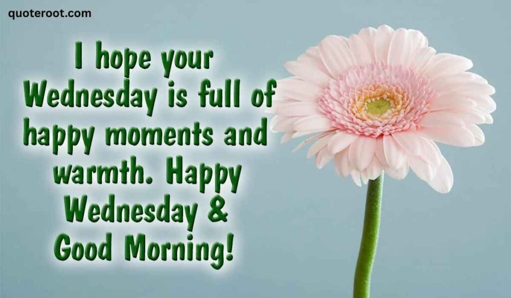 Grateful Wednesday Quotes