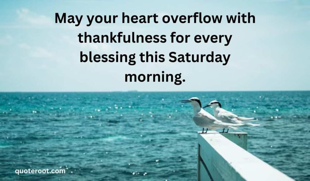 Gratitude Saturday Blessings