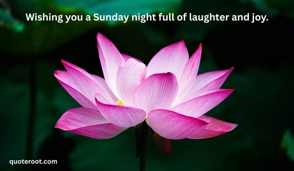 Sunday Evening Wishes for Friends