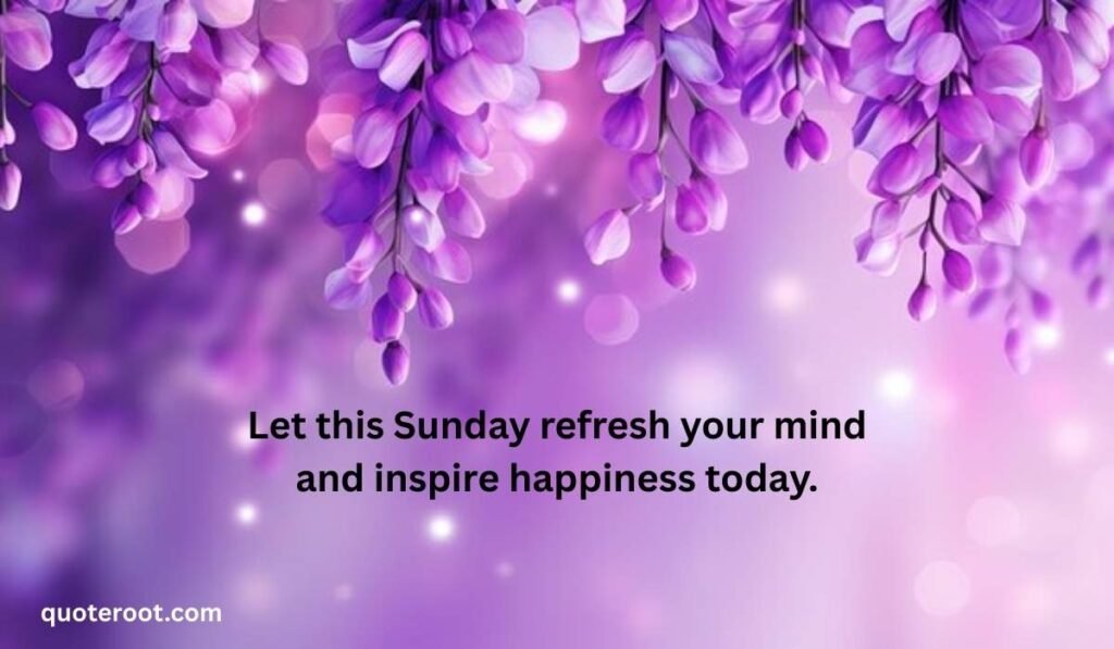 Sunday Vibes Quotes