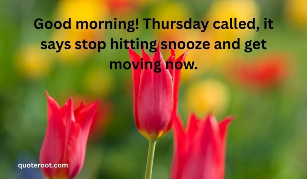 Funny Thursday Morning Greetings