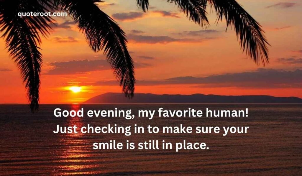 Good Evening Message to Make Your Best Friend Smile