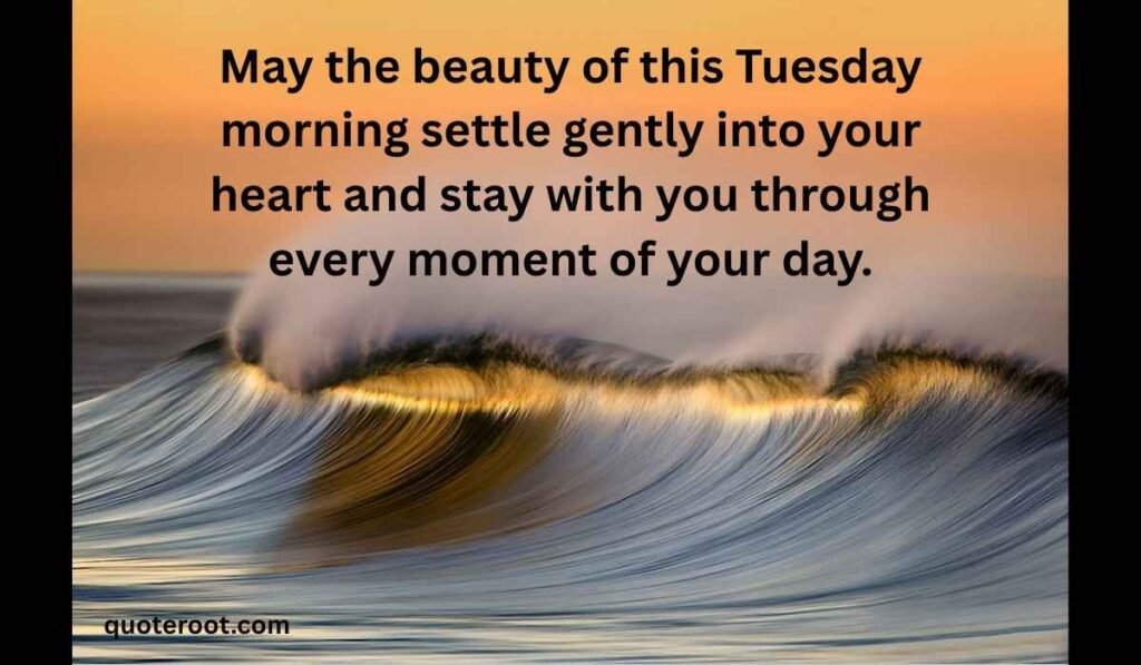 Beautiful Good Morning Tuesday Blessings