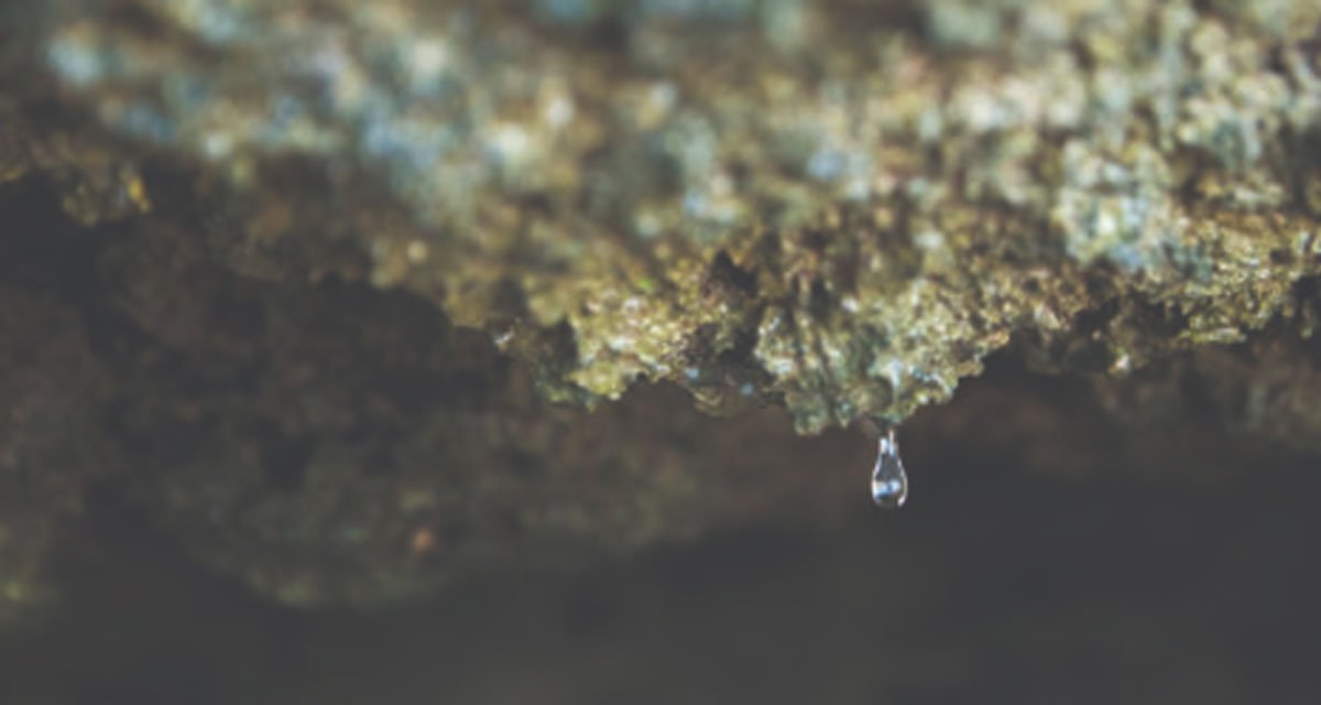 Find-Where-the-Water-Is-Coming-From-First