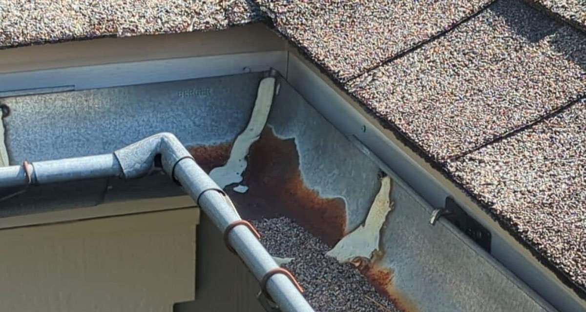 Clogged-Gutters-and-Drainage-Failures