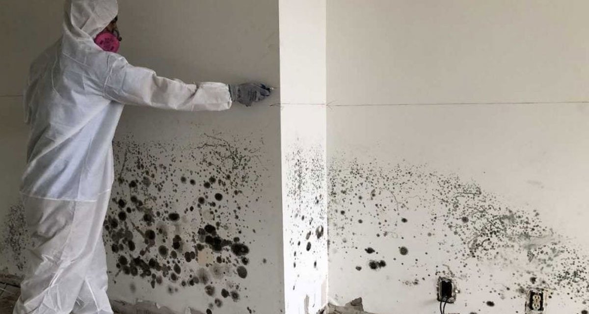DIY-Methods-to-Detect-Mold-Behind-Walls