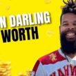Damon-Darling-Net-Worth
