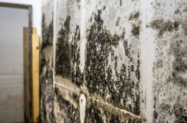 How-to-Tell-If-Mold-Is-Behind-Your-Walls-(And-What-to-Do-About-It)