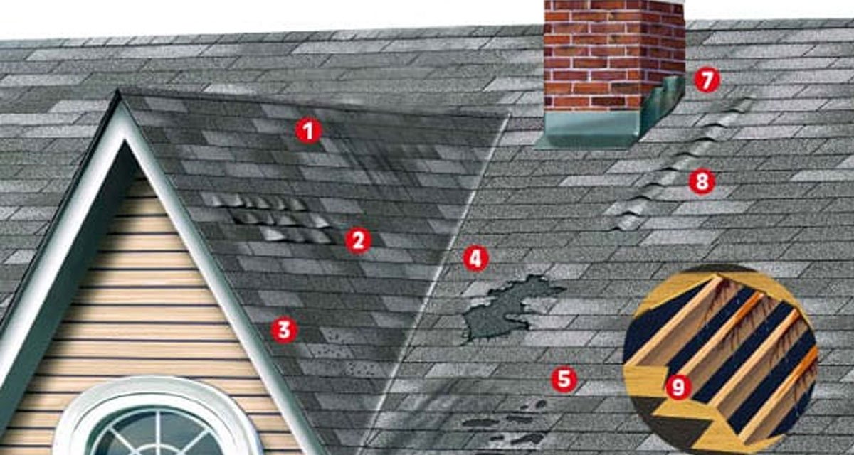 Signs-Your-Asphalt-Shingle-Roof-Needs-Replacement