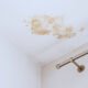 Why-Your-Roof-Leaks-With-No-Visible-Damage