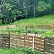 how-to-build-a-pallet-fence-a-practical-fence-guid-1
