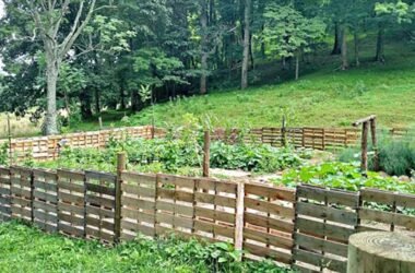 how-to-build-a-pallet-fence-a-practical-fence-guid-1
