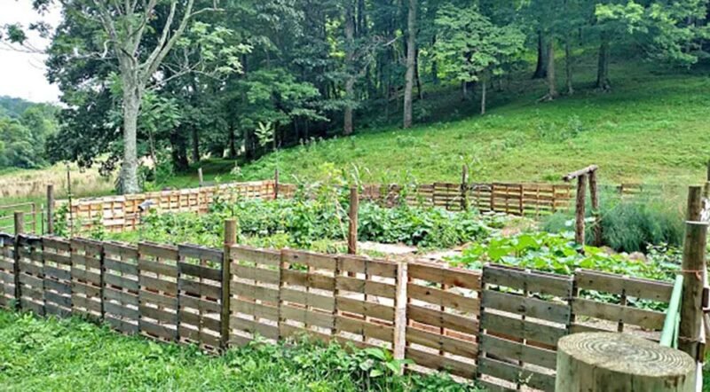 how-to-build-a-pallet-fence-a-practical-fence-guid-1