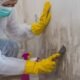 How Do Professionals Manage Mold Removal?
