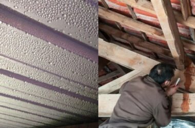  Condensation inside a polycarbonate roof is a common problem. Find out why it happens and how proper sealing, ventilation and correct installation can fix it.