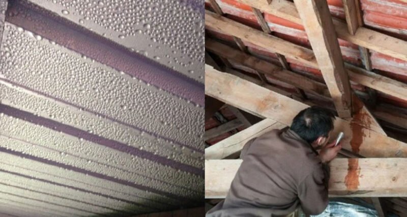  Condensation inside a polycarbonate roof is a common problem. Find out why it happens and how proper sealing, ventilation and correct installation can fix it.
