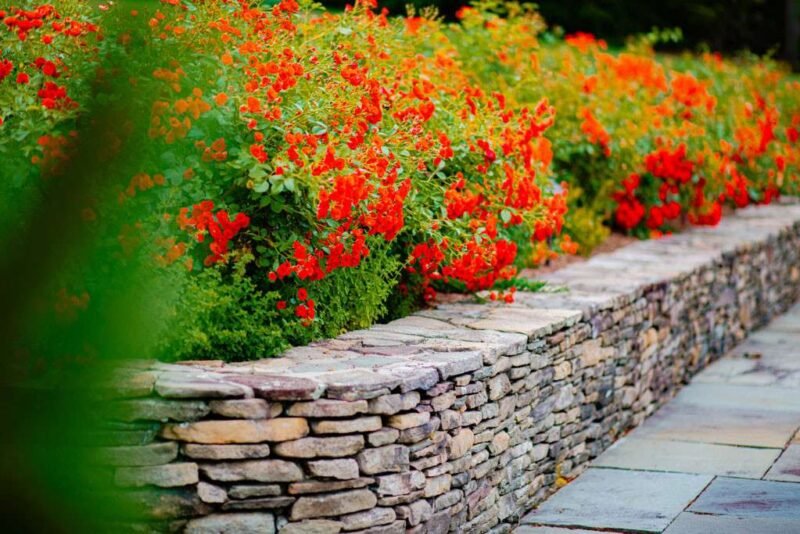 how-to-build-a-fieldstone-retaining-wall-a-practic-1