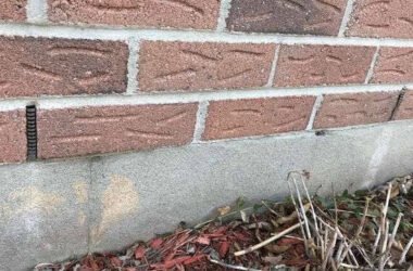 how-to-tell-if-you-have-mice-in-your-walls-signs-s-1