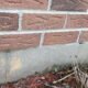 how-to-tell-if-you-have-mice-in-your-walls-signs-s-1