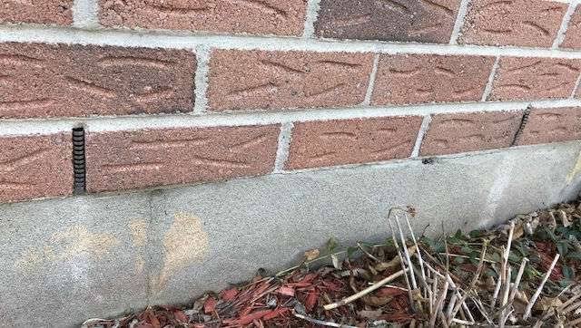 how-to-tell-if-you-have-mice-in-your-walls-signs-s-1