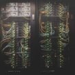 laaster — low latency system design shown through real server rack infrastructure