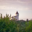 Shrek's girlfriend — a castle tower above the forest at dusk, like the one where Princess Fiona waited
