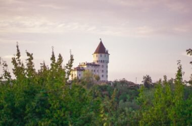 Shrek's girlfriend — a castle tower above the forest at dusk, like the one where Princess Fiona waited