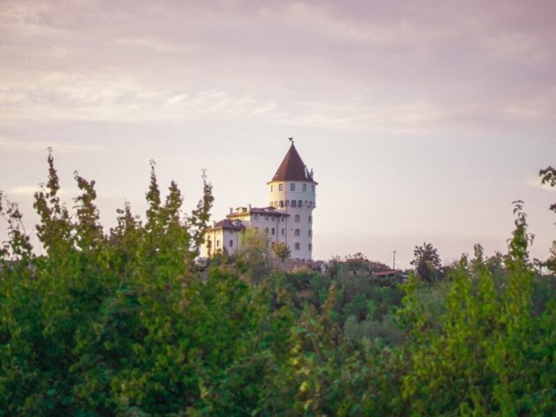 Shrek's girlfriend — a castle tower above the forest at dusk, like the one where Princess Fiona waited