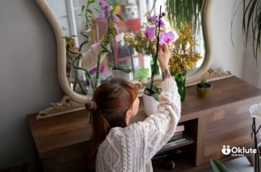 creating-a-space-that-feels-beautifully-yours-1