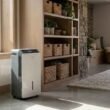 Best Dehumidifier for Basement